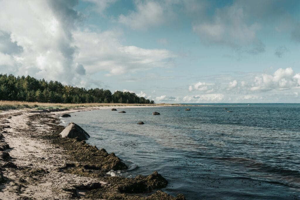 Scenic Estonian Beach