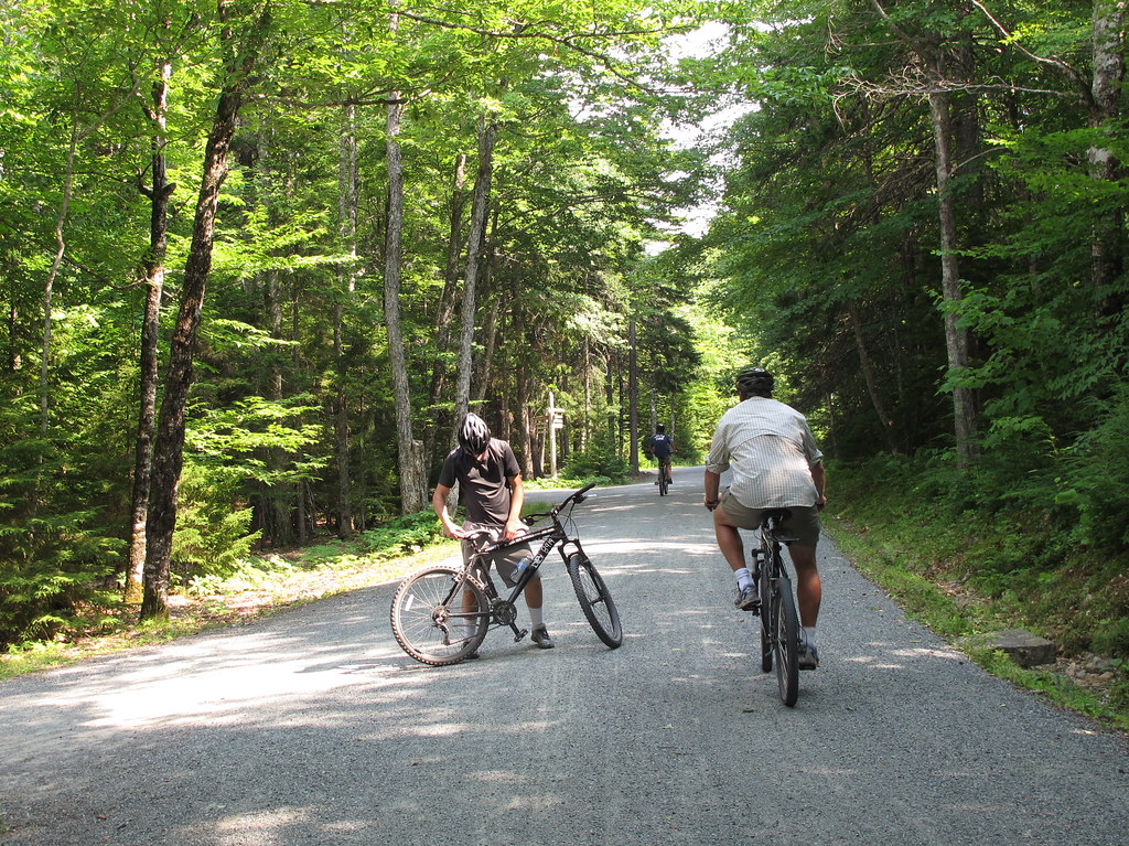 Biking the Carriage Roads this bestThings To Do in Acadia National Park Get Unique Experiences