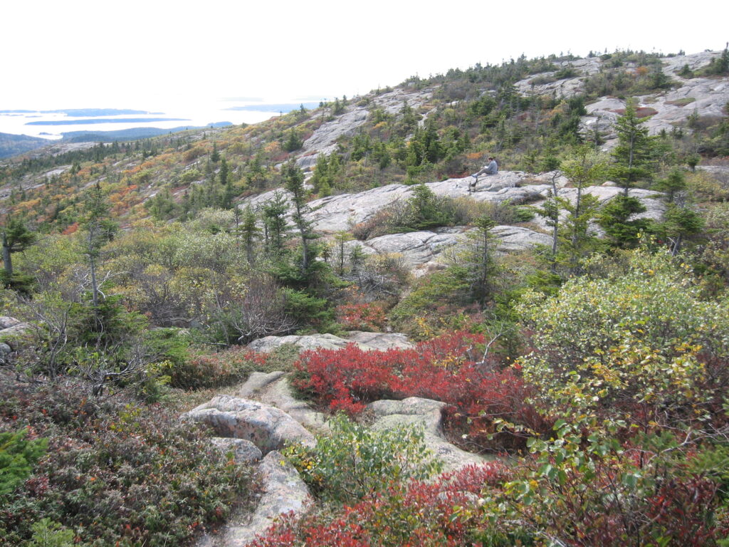 Cadillac Mountain overlook with vibrant autumn foliage and sunrise views, showcasing Acadia National Park Fall Foliage