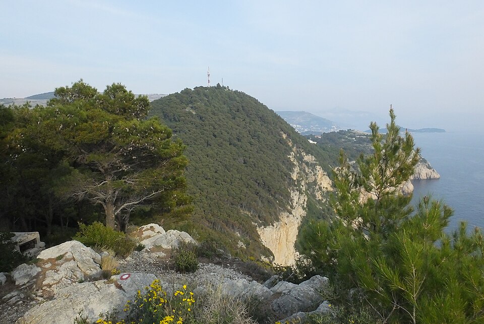 Explore Petka Hill Forest Parks near Uvala Lapad Beach Dubrovnik