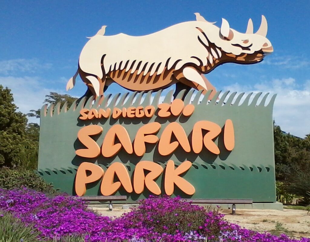 Kids watching animals roam freely at the San Diego Zoo Safari Park – one of the top Things to Do in San Diego with Kids