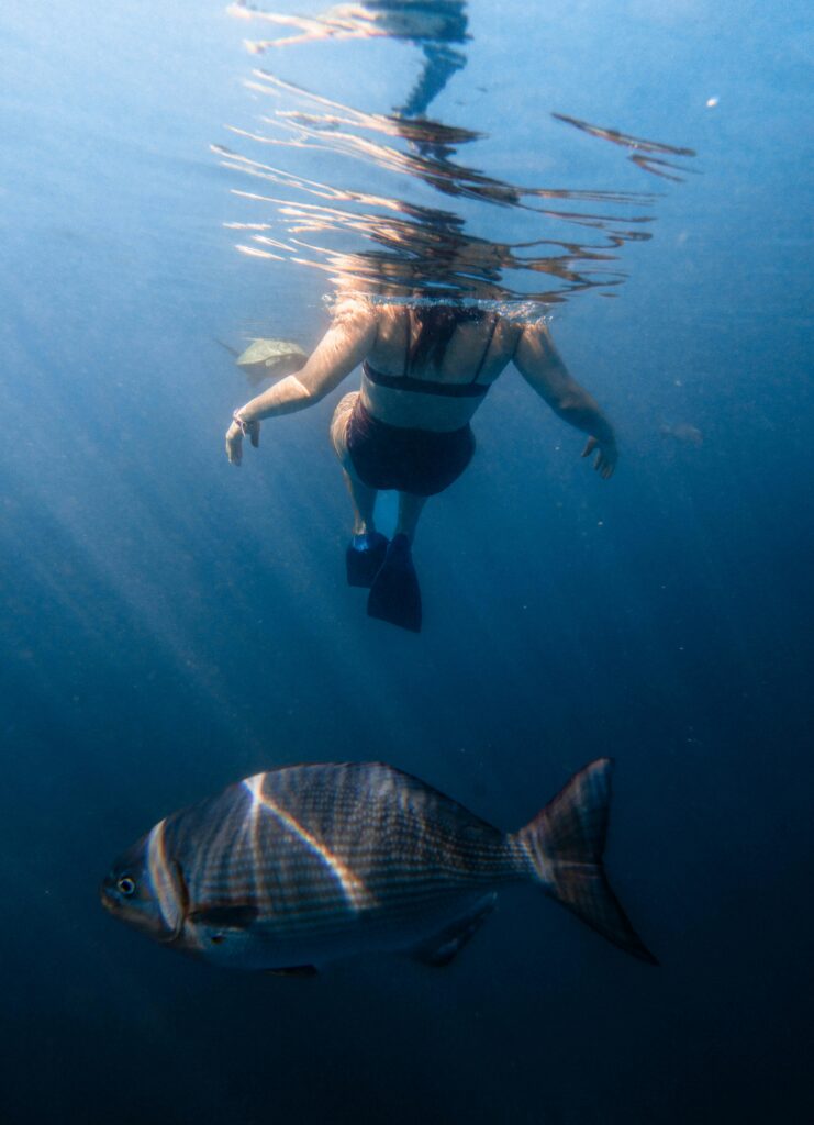 Snorkeling at Sveti Jakov Beach