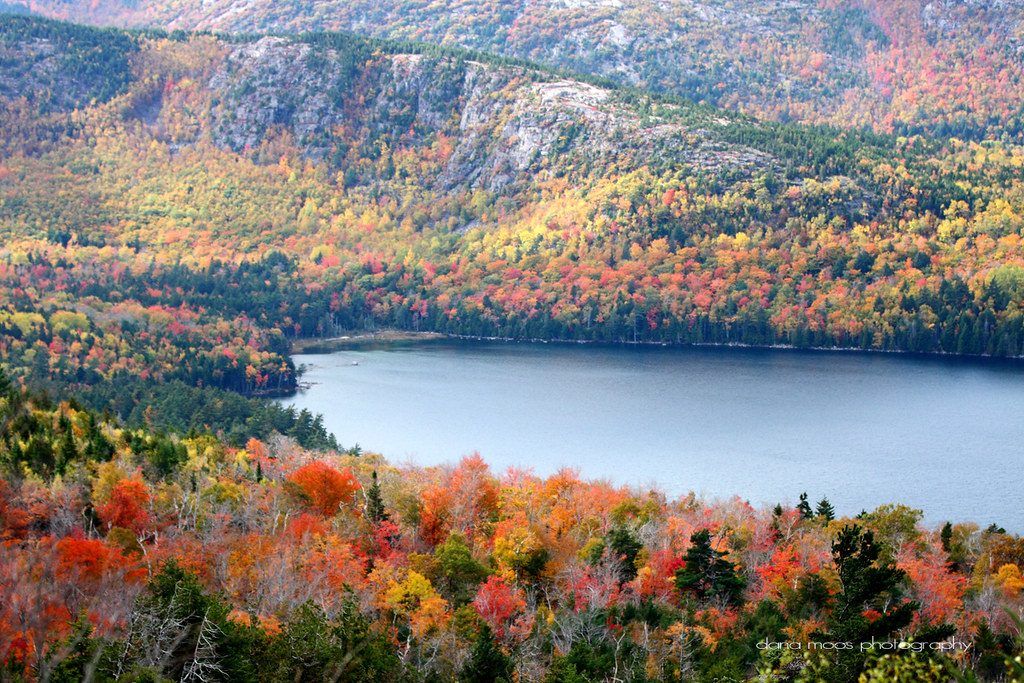 acadia national park hikes in fall with vibrant autumn foliage colors along hiking trail in maine