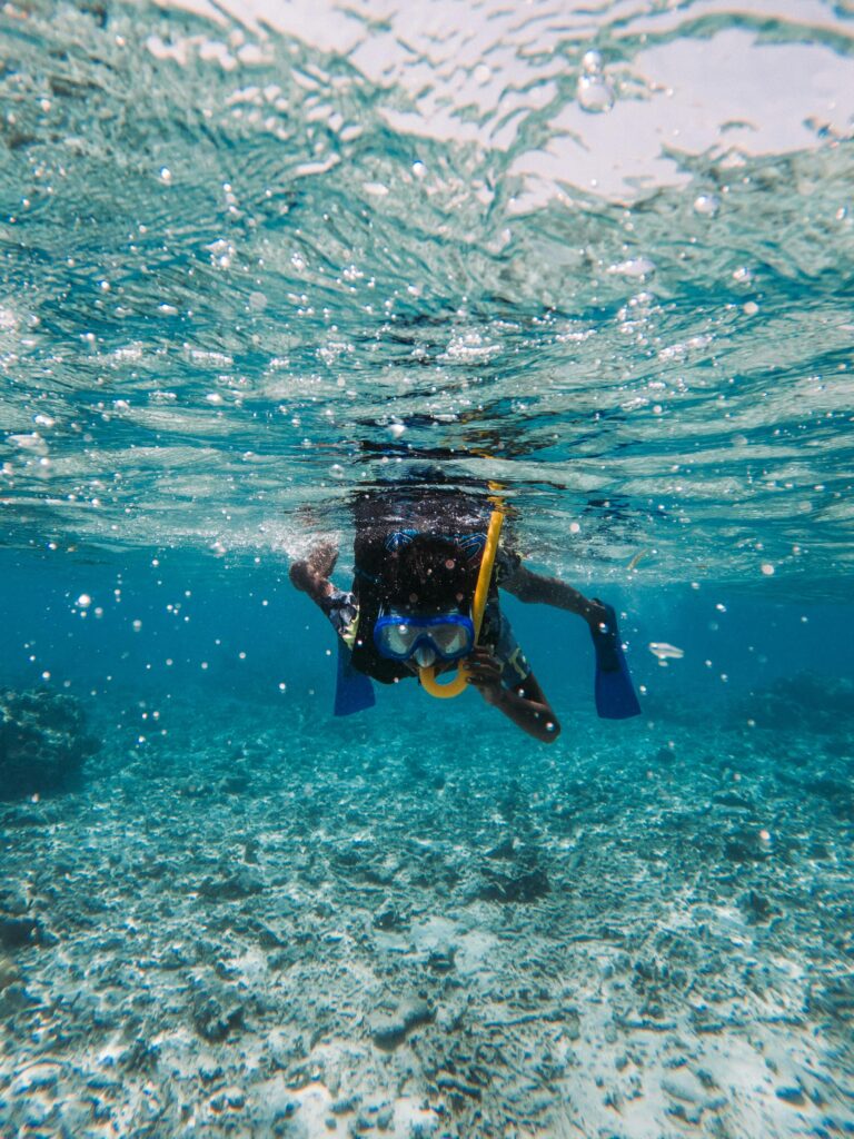 Crystal-clear blue waters along the Miami coastline, perfect for snorkeling and diving adventures to explore colorful coral reefs and marine life