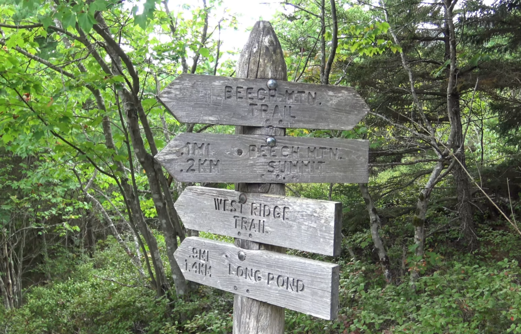 Wooden trail sign for Beech Mountain Loop in Acadia National Park, pointing to Beech Mountain Trail, Beech Mountain Summit, West Ridge Trail, and Long Pond, surrounded by lush forest