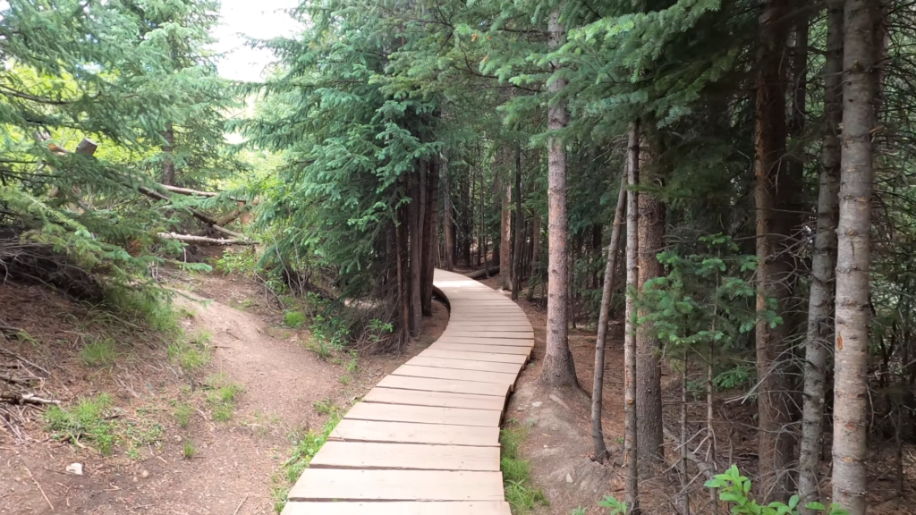Wooden boardwalk trail through pine forest on the Breckenridge Troll Hike, showing how visitors can stay on the designated path to protect the natural area