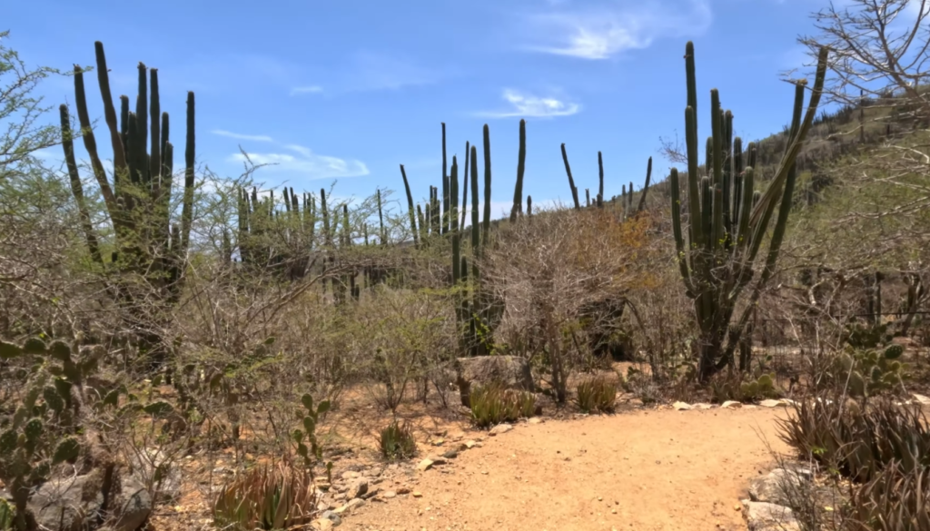 Cunucu Arikok National Park Aruba