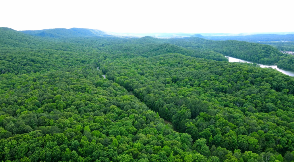 Aerial view of Oak Mountain State Park’s green forests and lake areas, a popular outdoor spot for nature walks and things to do with family in Birmingham AL