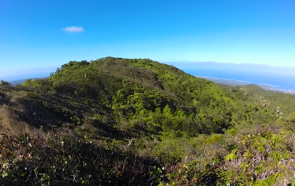 Best hikes on Oahu North Shore and best hikes on Oahu featuring panoramic forest and ocean views from Pupukea Summit Trail (Puʻu O Mahuka)