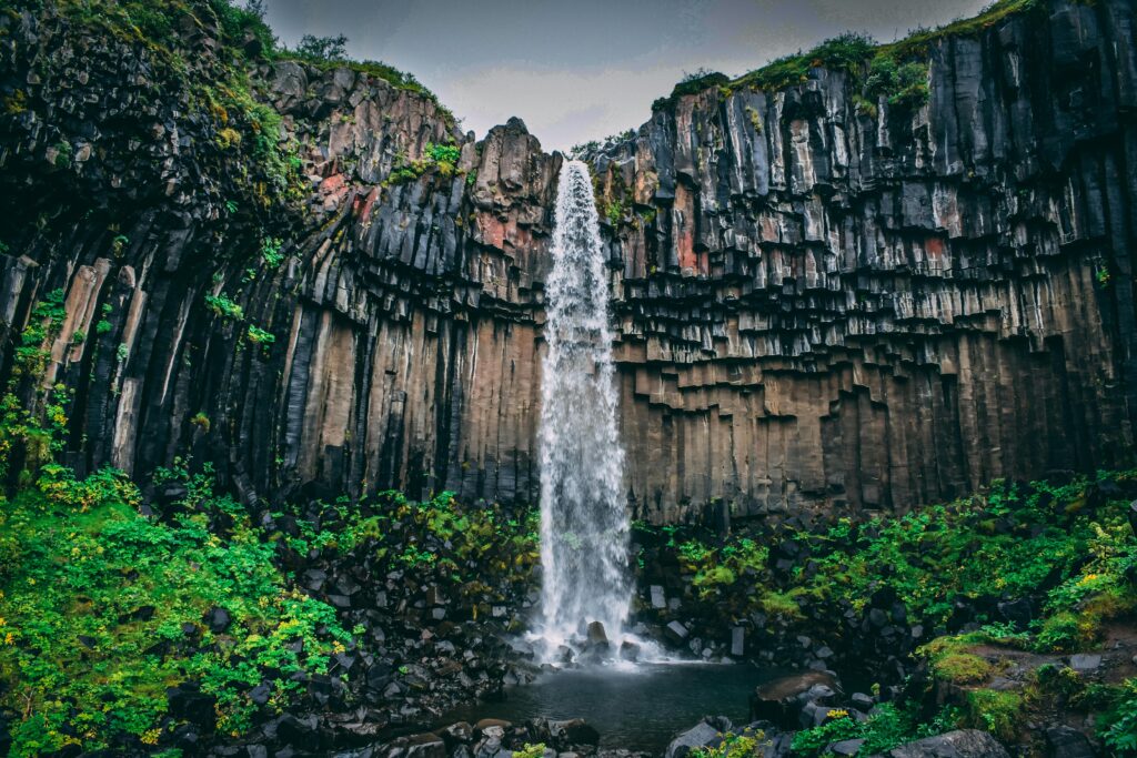 Iceland waterfall Svartifoss flowing over dark basalt columns surrounded by lush green vegetation in Vatnajökull National Park.