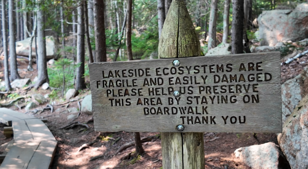 wooden boardwalk on eastern shore of jordan pond path trailhead with North and South Bubble mountains ahead
