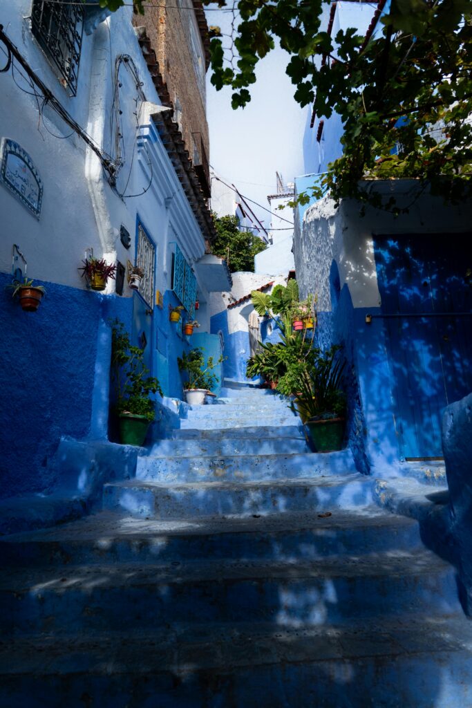 Blue-painted alley and staircase in Chefchaouen, lined with potted plants and traditional Moroccan architecture—an essential stop on any Morocco Travel Itinerary.