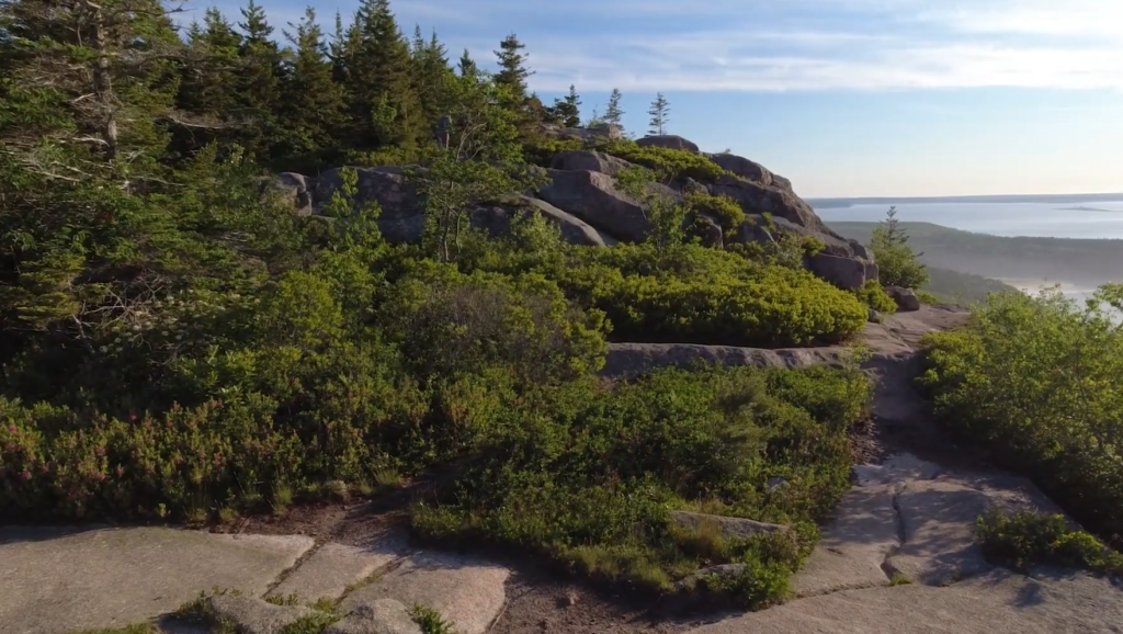 Gorham Mountain Trail is best Acadia hikes path